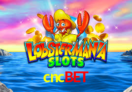 cncbet
